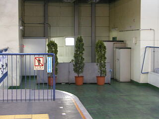 �I�_�̐A�؁i2002�N�j