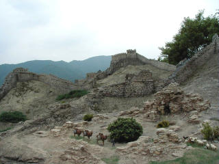 �����̒���