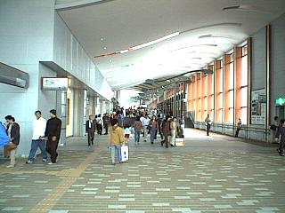 �H�c�w���R�ʘH