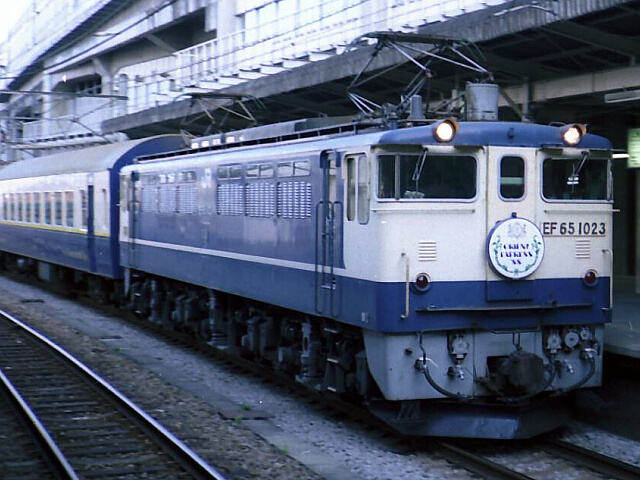 �I���G���g�}�s����������EF65�`�d�C�@�֎�