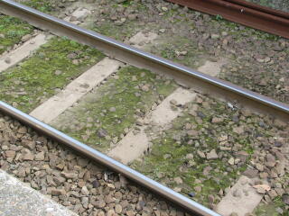 �o���X�g�����Ȃ��Ȃ����O��