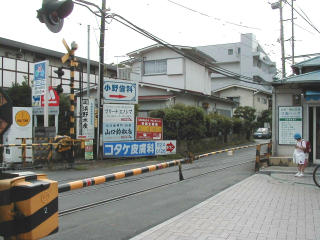 �]�m���w�ƂȂ�̓���