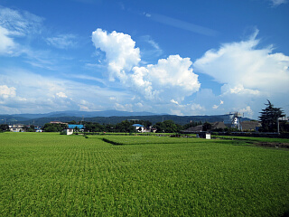 �c�����i