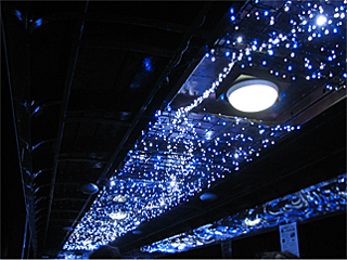 �V��C���~�l�[�V����