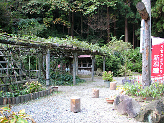 �R�[�w�̒�H