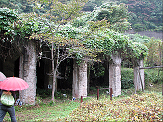 �����q�w