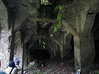 �����q�w�̃z�b�p�[��