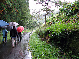 �����q���p����