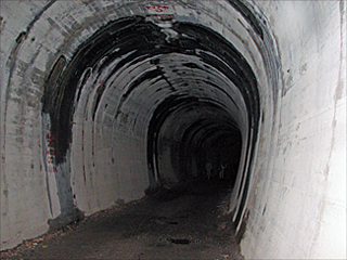 ��񈤓�詓��̒�