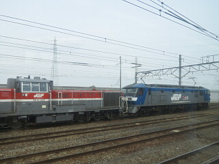 �V���ݕ��^�[�~�i���w