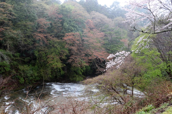 粟又～粟又の滝の風景