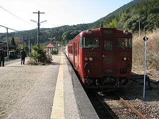 �^�K�w�ɒ�Ԓ��́u�����Ԃ낤�v