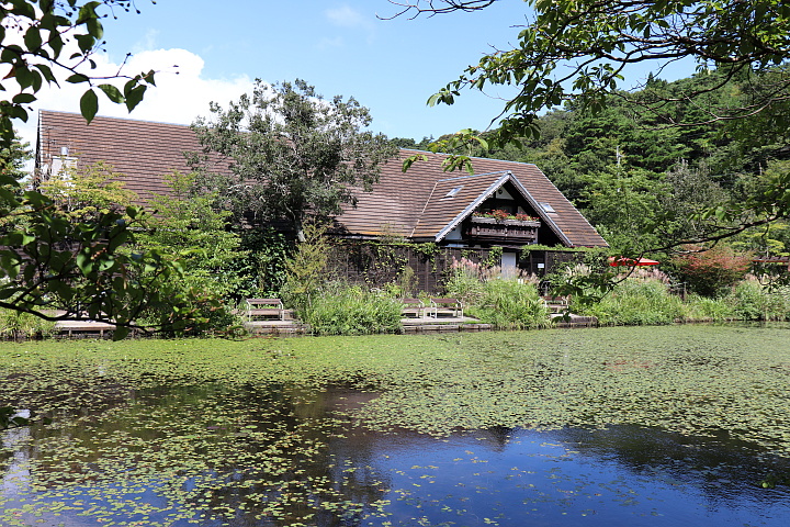 ミュージアムガーデン