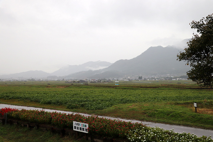 八木沢駅の周辺風景
