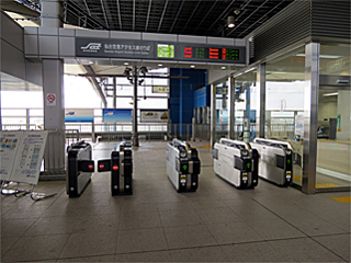 ����`�w���D��