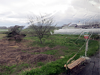 ��M�w�o�X��