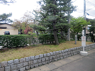 ���钬�w�o�X��