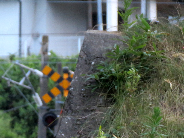 東北本線の踏切