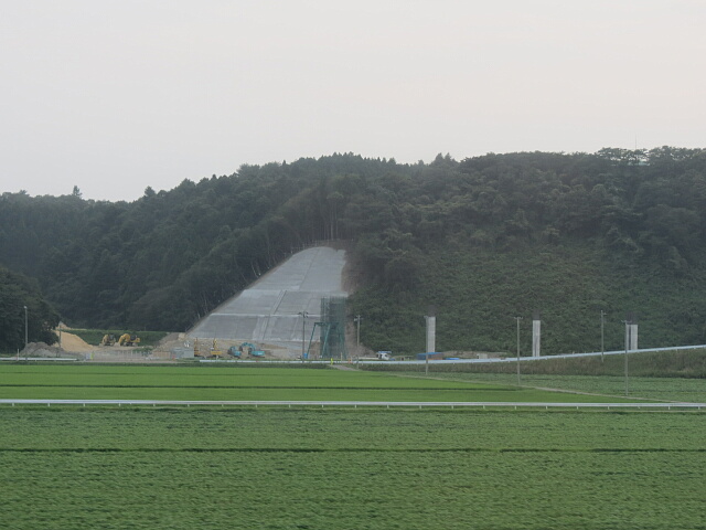 ���ݒ��̐V���H