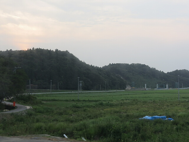 ���ݒ��̐V���H