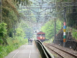 �g���b�R��ԁu�V�F���p����v