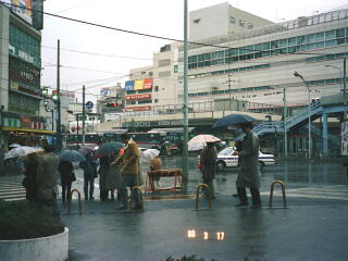 �ڍ��w����