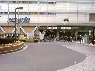 �ڍ��w����