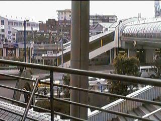 ���w����