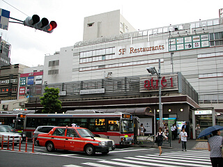 �ڍ��w����