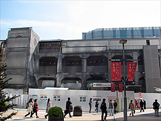 �H�t���w�d�C�X���i�k���j