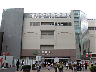 �H�t���w�d�C�X���i�k���j