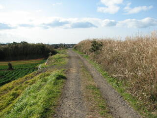 �u�n���̊ۂ�������u�W�]�فv�ւ̓��̂�