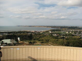 �u�n���̊ۂ�������u�W�]�فv����̓W�]